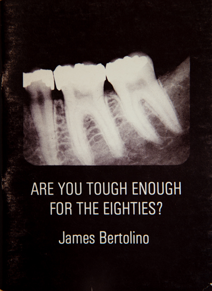 Poetry of James Bertolino
