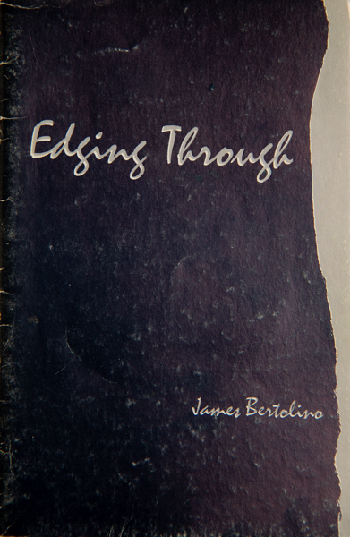 Poetry of James Bertolino